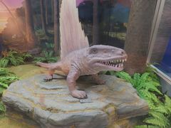 -国家自然博物馆