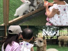 -秀丽东方