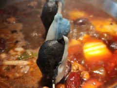 -湊湊火锅·茶憩(新中关购物中心店)