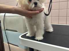 -FAELING PETS美天灵宠物(富力广场店)