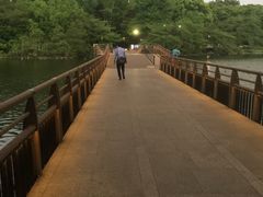 -井之头恩赐公园