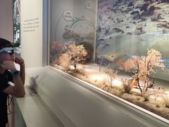 -中国湿地博物馆