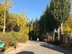 -廊坊文化艺术中心