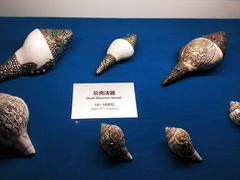 -青岛贝壳博物馆