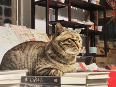 -正阳书局(西四南大街店)