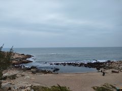 -广东惠东海龟国家级自然保护区