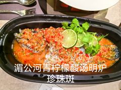 -新时泰(漕河泾印象城店)