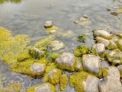 -长广溪湿地公园