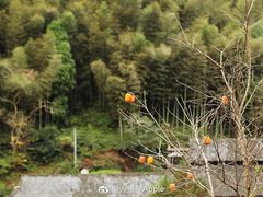 -林坑古村落