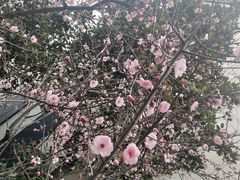 -浙江农林大学(东湖校区)