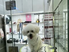 -它主义宠物(梁溪万达店)