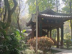 -龙头寺公园