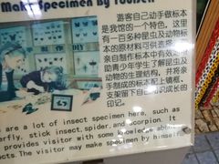 -上海大自然野生昆虫馆(东方明珠·爬宠昆虫探索中心)