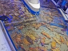 -澜悦港海鲜体验主题餐厅