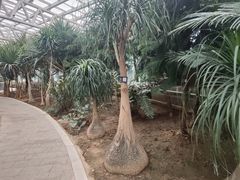 -石家庄市植物园