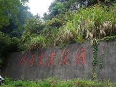 -江西阳明山国家森林公园