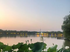 -洛阳市隋唐城遗址植物园