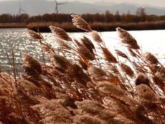 -野鸭湖国家湿地公园