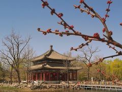 -圆明园停车场