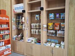 -瑞派名望志远动物医院·猫科·內科·异宠专科(直港大道店)