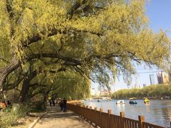 南湖公园-沈阳南湖公园