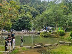 -火炉山森林公园