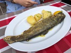 -布劳伽斯特豪夫哈尔施塔特宾馆