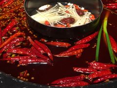 -蜀大侠火锅(建设路第五大道店)