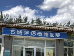 -美联众合动物医院·内科·皮肤科·外科(古城分院)