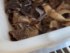 -好吃鬼高原牦牛杂火锅(古尔沟分店)