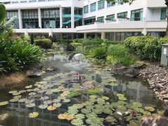 -麦哲伦丝绸度假村