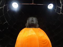 -白水寺森林公园