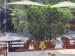 -成都博舍酒店