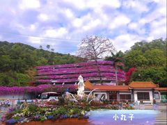 -深圳仙湖植物园