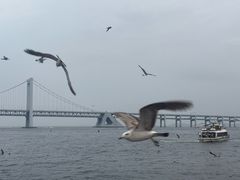 -星海广场