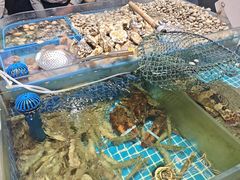 -双合园·海鲜水饺青岛菜(万佳广场店)