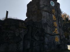 -汤旺河林海奇石景区