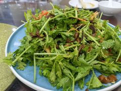 -抹直口特色菜馆(一店)