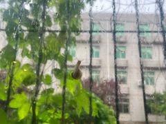 -丰台科技园生态主题公园