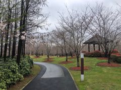 -自然谷恐龙园