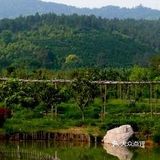 苏州小众旅游|旺山一日旅游攻略