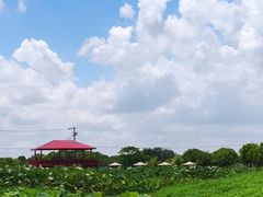 -嘉北郊野公园
