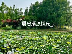 -长广溪湿地公园