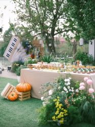 -琥珀婚礼策划AMBER WEDDING