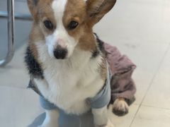 -怪兽屋·羊驼·猫咖·狗咖(俊华广场店)