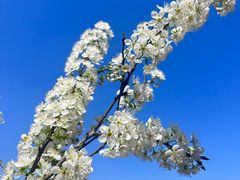 -霖公馆SPA·足道(普善路店)