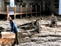 -自贡恐龙博物馆