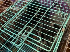 -团泊镇示范集贸市场