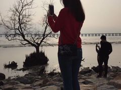 -宝安西湾红树林湿地公园