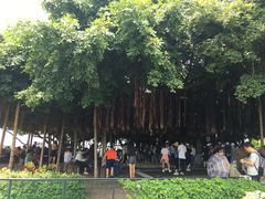 -胡里山炮台